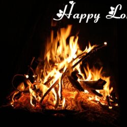 Lohri Status Wishes Quotes Messages Greetings Image & Pictures