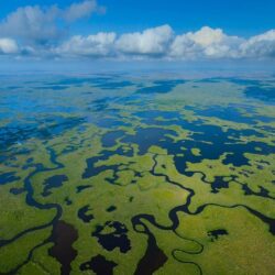 Aerial view, Everglades National Park, Florida, USA