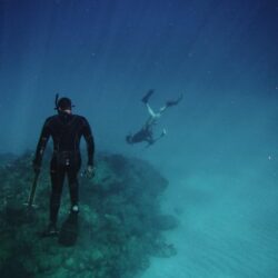 Scuba Diving Pictures [HD]
