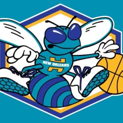 Free Charlotte Hornets Wallpapers Logo Wallpapers