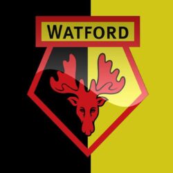 Watford moblie backgrounds by Kingwallpapers
