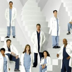 Greys An