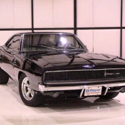 CATS AND DOGS: 1970 Dodge Charger1970 Dodge Charger
