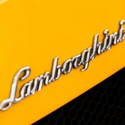 Lamborghini Logo Hd 24303 Hd Wallpapers in Logos