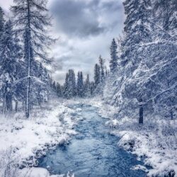 Canada Quebec Nature Stream Winter Forests Trees