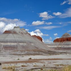 Mountains: Petrified Forest National Park Cool Mountain Nature