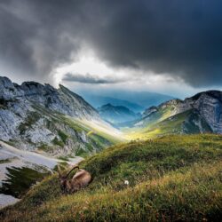 mountain, Clouds, Ibex, Nature, Landscape, Paragliding, Valley