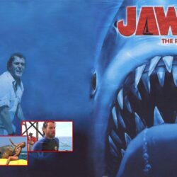 Jaws the Revenge Wallpapers