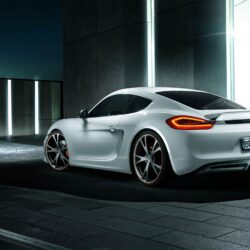2013 Techart Porsche Cayman 3 Wallpapers