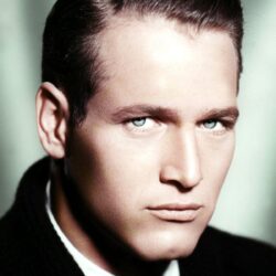 Paul Newman photo gallery
