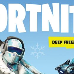 Fortnite: Deep Freeze Bundle’ Is a Totally Brilliant Waste of Money
