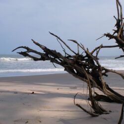 My own photo of the shores of Gabon, Africa. [] : wallpapers