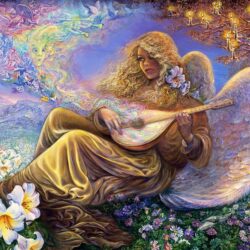 Angel playing Lute in Flower Field Wallpapers and Backgrounds Image