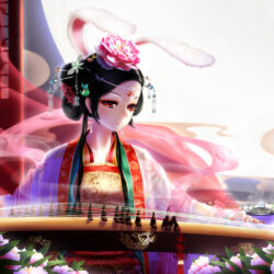 Geisha Wallpapers and Backgrounds Image
