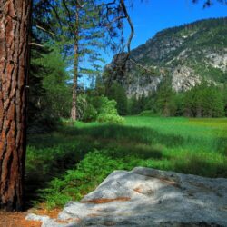 Zumwalt Meadow Trail, Sequoia and Kings Canyon National Parks