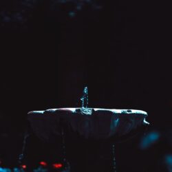 Download Fountain, Dark, Photography, Red Flowers