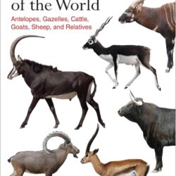 Bovids of the World: Antelopes, Gazelles, Cattle, Goats
