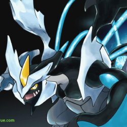 Inspirational White Kyurem Wallpapers and 6 Pictures
