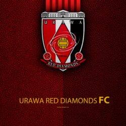 Download wallpapers Urawa Red Diamonds FC, 4k, logo, leather texture