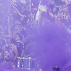 Orlando City SC on Twitter: Whoever you are, you now have an