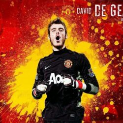 David De Gea 2014 HD Wallpapers