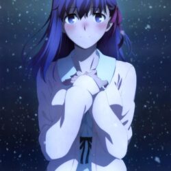 Fate/Stay Night: Heaven’s Feel Blu