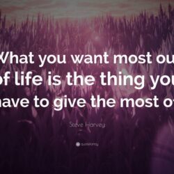 Steve Harvey Quote: “What you want most out of life is the thing you