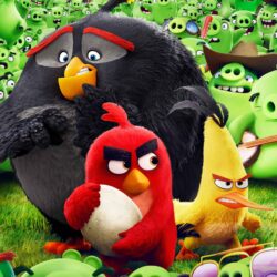 Angry Birds Animation Movie Wallpapers