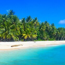 palm trees, summer, beautiful, beach, hut, white sand, boat