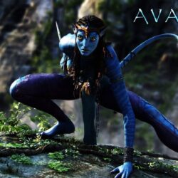 Avatar Movie Wallpapers 3406 Full HD Wallpapers Desktop