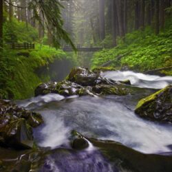 Download wallpapers Sol Duc Falls, Olympic National Park