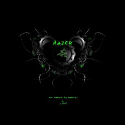 Showing posts & media for Razer blade stealth chroma wallpapers
