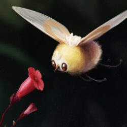 Cutiefly by Tapwing