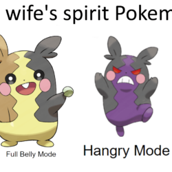 Morpeko: The wife Pokemon