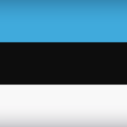 Estonia Large Flag