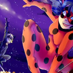 wallpapers free miraculous tales of ladybug and cat noir
