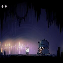 39 Hollow Knight HD Wallpapers