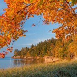 Autumn lake trees landscape Michigan wallpapers