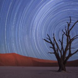 Star Trails, Sossusvlei, Namib