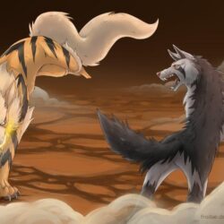 Arcanine Vs Mightyena by Frodse