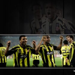 Fenerbahçe SK image 23512erfw HD wallpapers and backgrounds photos