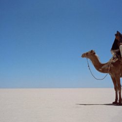 Lawrence of Arabia [] : wallpapers