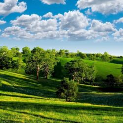 Download Wallpapers Summer, Hills, Trees, Green, Meadows