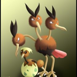 Doduo and Dodrio by Ninjendo