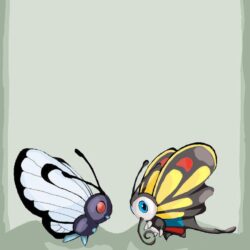 Butterfree and Beautifly by experimental