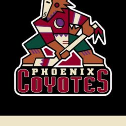 Can we get a wallpapers dump? : Coyotes