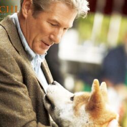 Akita Inu and Richard Gere, the film Hachiko wallpapers and image