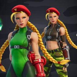 Round 2: Street Fighter’s Cammy and Guile Soldier On in Fortnite