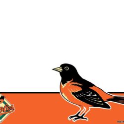 awesome baltimore orioles wallpapers
