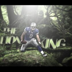 Matthew Stafford Lion King by number6666